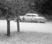 Cadi01